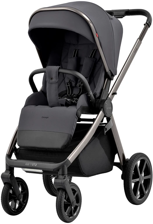 Коляска дитяча 3 в 1 Carrello Omega CRL-6535 Excellent Grey